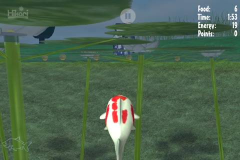 Karl der Koi - Wer ist der tollste Fisch im Gartenteich? screenshot 3