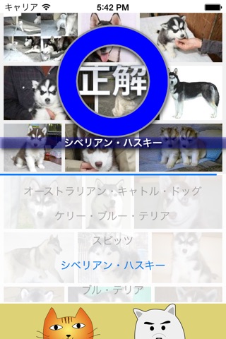 DogCat Quiz screenshot 3