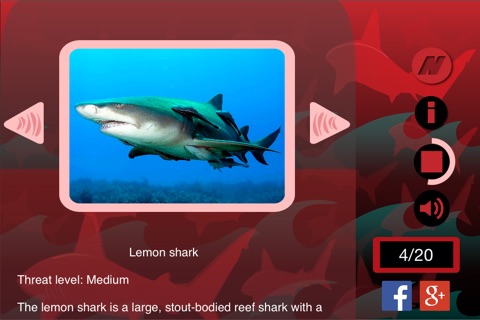 The Best Sharks+ screenshot 2