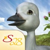 The Ugly Duckling - S28