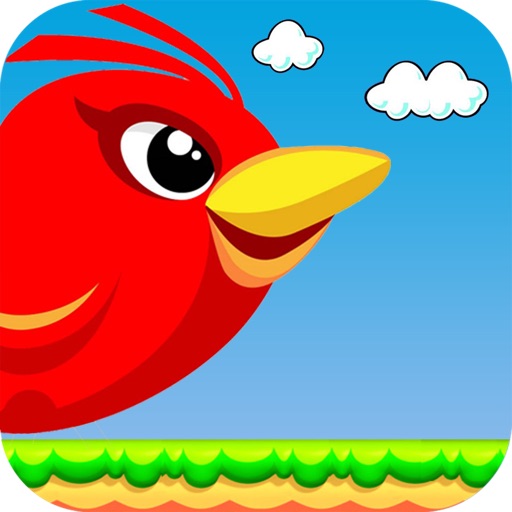 Fluffy Sparrow Adventure iOS App