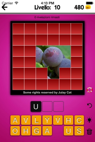 Open and Guess the Pic -What's the Word for the hidden Pic? screenshot 3