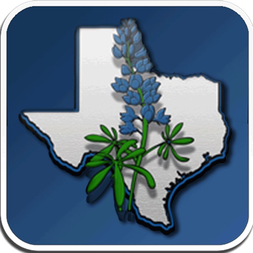 Blue Bonnet Palace Texas icon