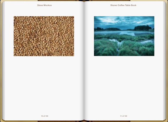 stoner coffee table book