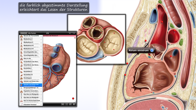 Thieme Anatomy on the Go 2.0 - English(圖2)-速報App