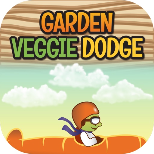 Garden Veggie Dodge - Plane Flyer Adventure iOS App