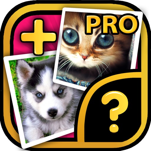 MIX IT UP Pro! - top quiz game: pic + pic = word
