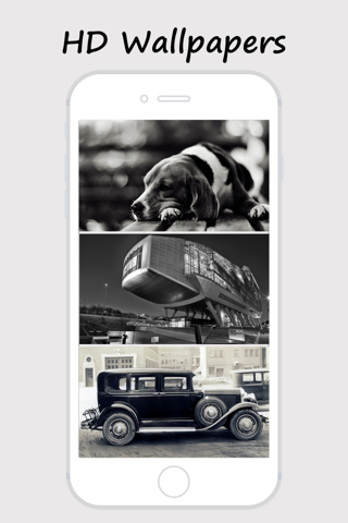 Black & White Wallpapers - Beautiful Collections Of Black And White Wallpapers screenshot 3