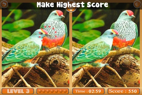 Birds Spot The Differences screenshot 2