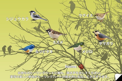 Healing Birds for iPhone screenshot 3