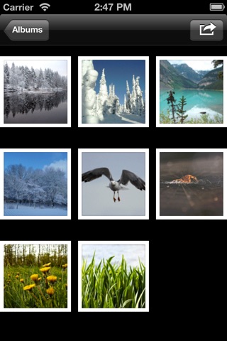 Smart Photo Album - Unlimited Tags, Filters and Albums screenshot 4