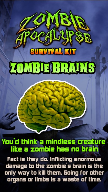 Zombie Apocalypse Survival Kit