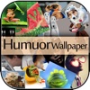 Humour And Funny Wallpapers