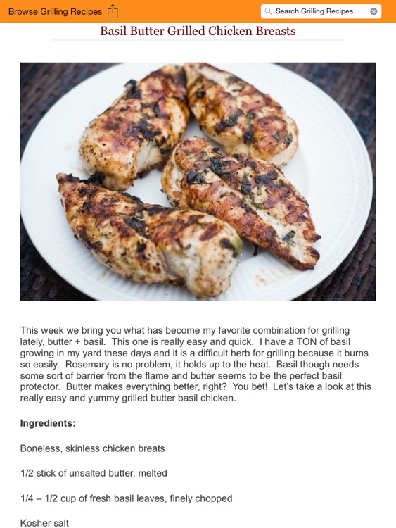 Grill-It! XL - Recipes for the Grill