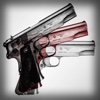 Gun Pro Puzzle Maker & more