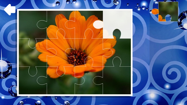 Puzzle Flowers Free