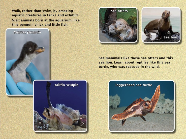 Animal Helpers: Aquariums