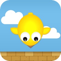 Bird Fall - Attack of the swamp of birds from the sky (by duet puppy game) PC 용