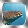 Fische PRO - NATURE MOBILE