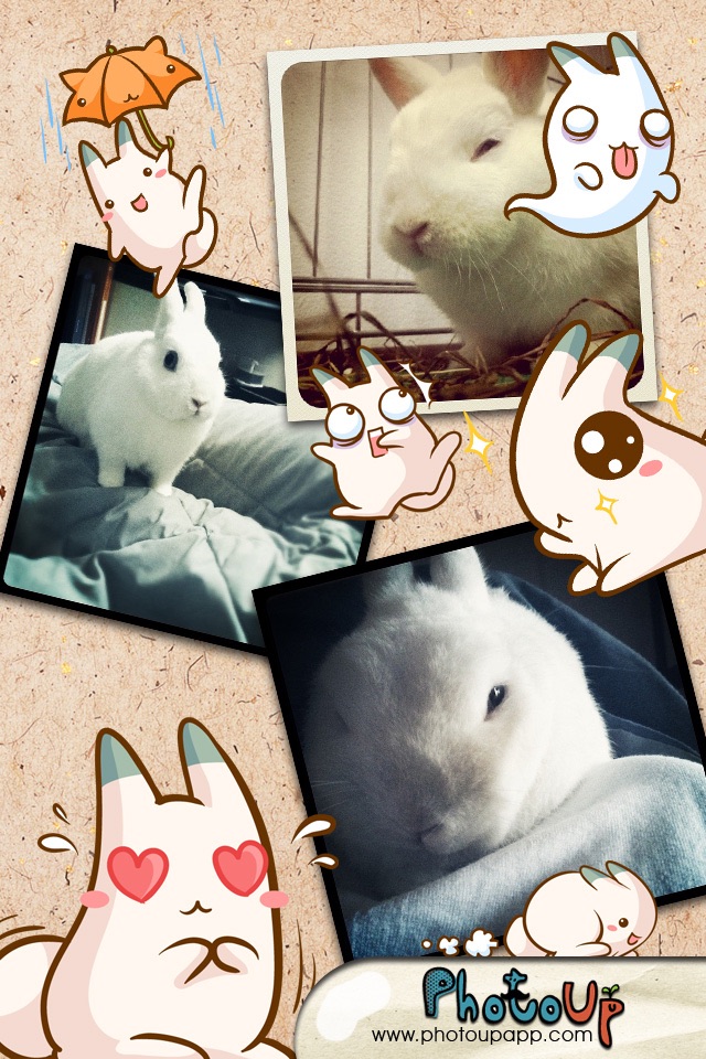 Nabbit Cam by PhotoUp - Cute  Rabbit Bunny Cat Stamps Photo Frame Filter Decoration App screenshot 4