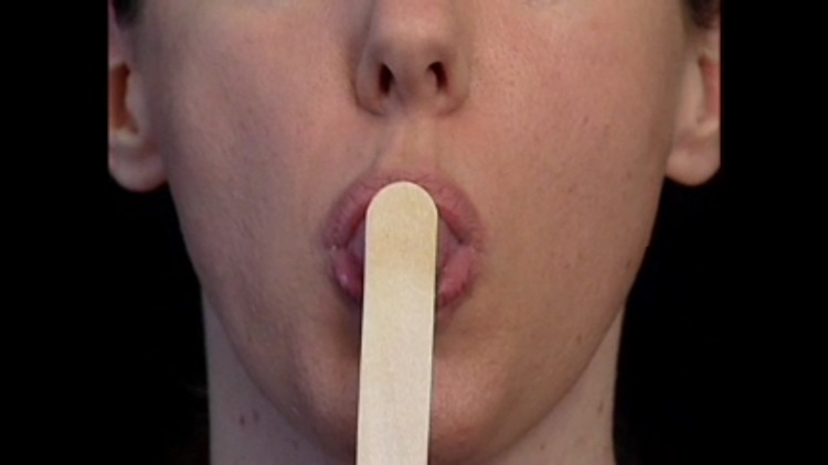 SmallTalk Oral Motor Exercises