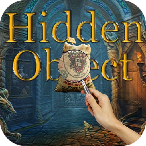 Hidden Objects Holiday Shopping iOS App