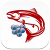 SalmonPDM for iPad