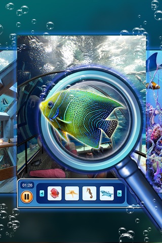 Hidden Object: Mystery in the Aquarium screenshot 3