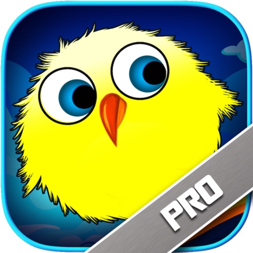 City Duck Flick Adventure Pro iOS App