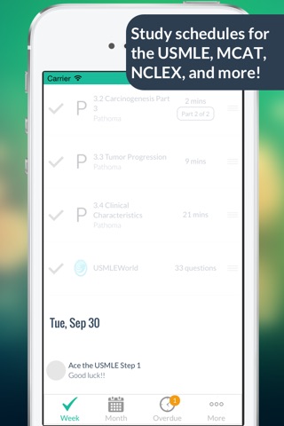 Cram Fighter USMLE Study Plan screenshot 2