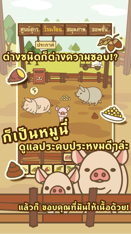 หรรษาฟาร์มหมู
