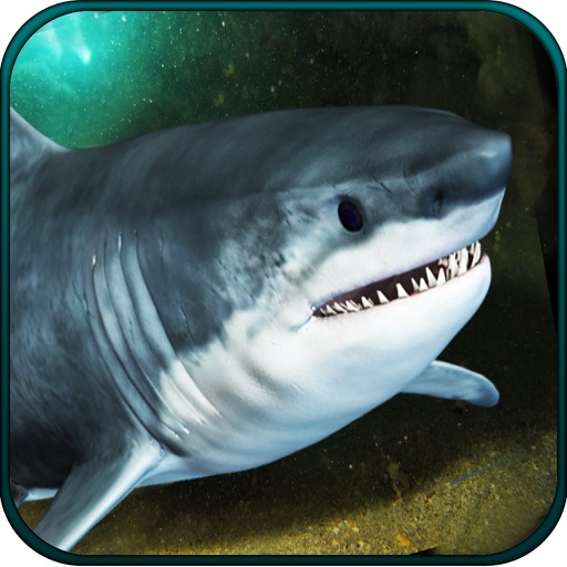 2016 Hungry Shark Hunting : Great White Monster Fish Deep Sea Underwater