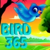 bird 365