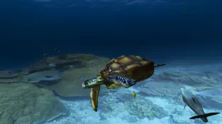 Captura de Pantalla 4 Aquarium VR iphone