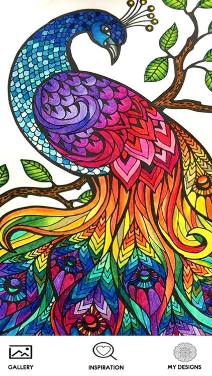 Mandala Coloring Book Pages for Adult - Patterns Coloring Therapy Stress Reliever