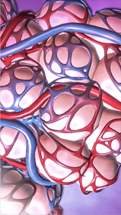 Human Physiology: Body Structures and Fucntions Free screenshot-4