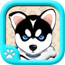 Activities of Naughty Husky Free-A puzzle sport game