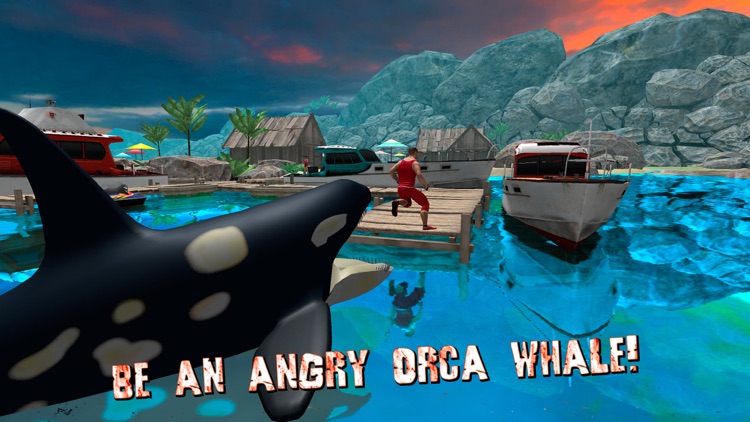 Angry Killer Whale Orca Attack Full