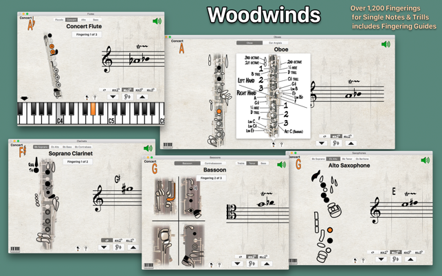 Fingering Woodwinds 2(圖2)-速報App