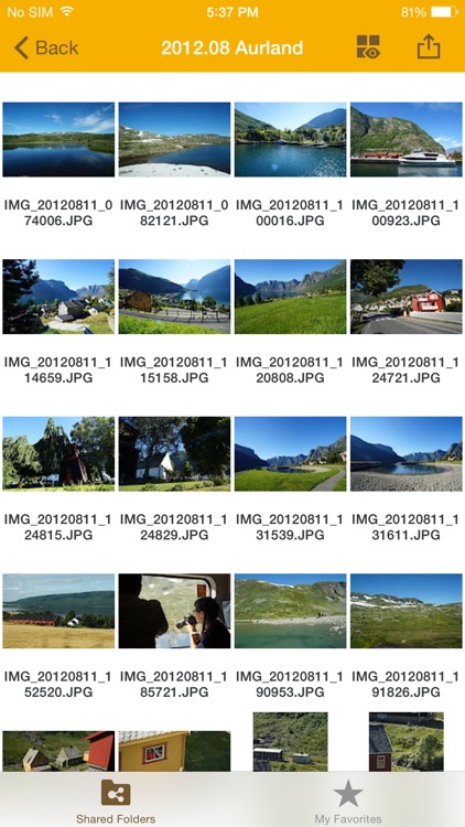 DS file