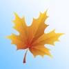 Fall Stickers for Photos - Decorate Your Pictures for Instagram!