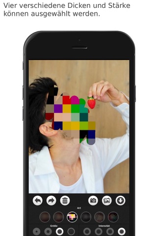 Blur & Mosaic  [plus] screenshot 3