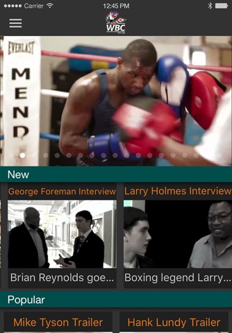 WBC Boxing screenshot 3