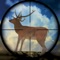 Deer Hunting Adventure 2016: Wild Sniper Hunter 3D