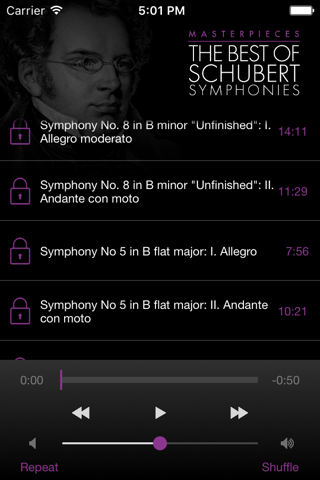 Schubert: Symphonies screenshot 3