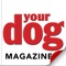 Your Dog – Britain’s best-selling dog magazine