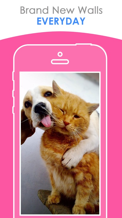 Free puppy & Kitten Wallpapers | Best HD Pictures screenshot-3