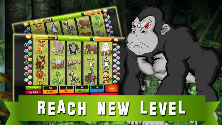 Slot Machines: Book of Mystery Jungle – Play Casino Treasure Tournaments