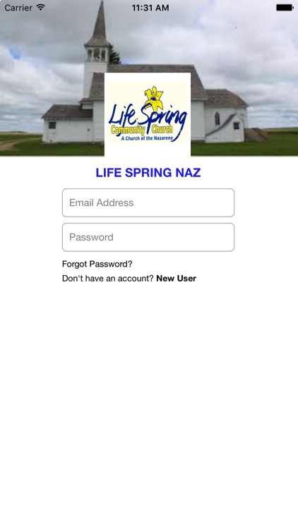 Life Spring Naz