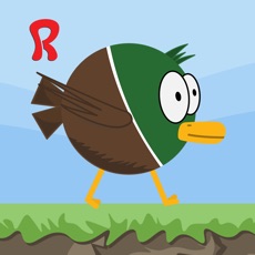 Activities of Ducky - Run, Jump, Fly and Survive! - Free